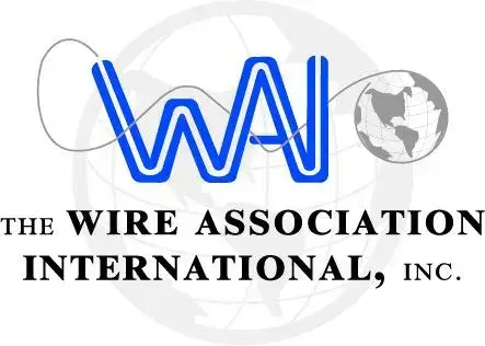 663104620f77e84f54a03537_wai_globe_bluelogo